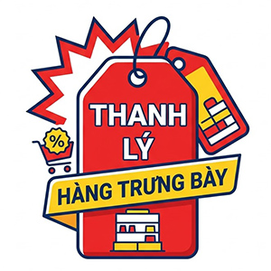 Thanh Lý Xe Lăn Điện 